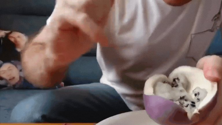 ingredients glucotrust real review,glucotrust real customer reviews,glucotrust supplement the glucotrust review,glucotrust real reviews,glucotrust official,glucotrust uk,glucotrust purchase,glucotrust buy,glucotrust max,glucotrust benefits,glucotrust resul